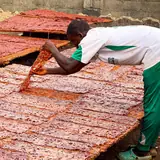 Worker spreading peppers on drying racks in Kaduna